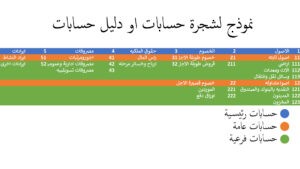 دليل-الحسابات-شجرة-الحسابات