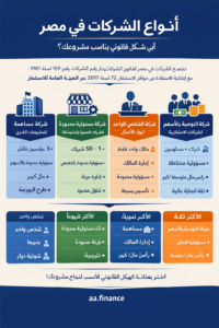 انواع الشركت بمصر