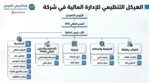 هيكل الادارة المالية