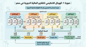 الهيكل التنظيمي للتقارير الماليه دليل إعداد القوائم المالية الدورية بموجب معيار المحاسبة المصري 30